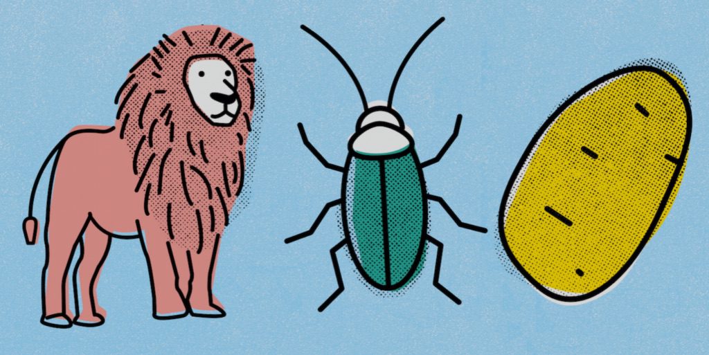 A red cartoon lion, green cockroach and yellow potato on a blue background