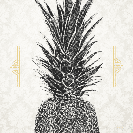 graphic illustration of pineapple