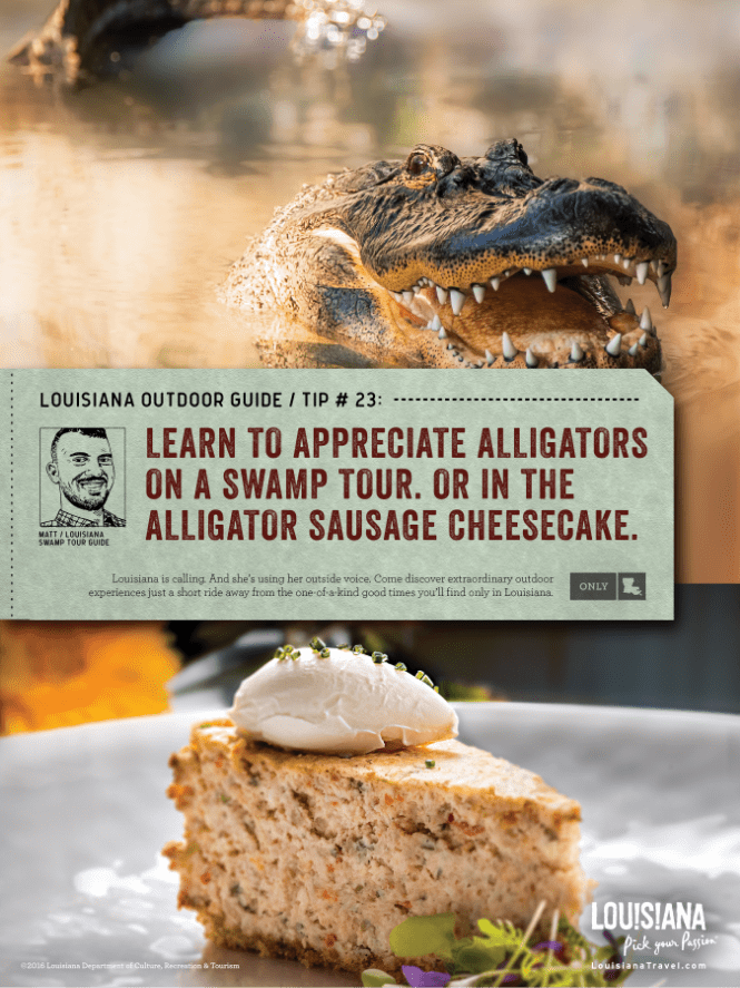 split image ad of an alligator seen on a swamp tour in new orleans in the top image and a slice of pie in the bottom image